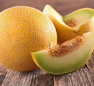Melon Kolhosnytsya
